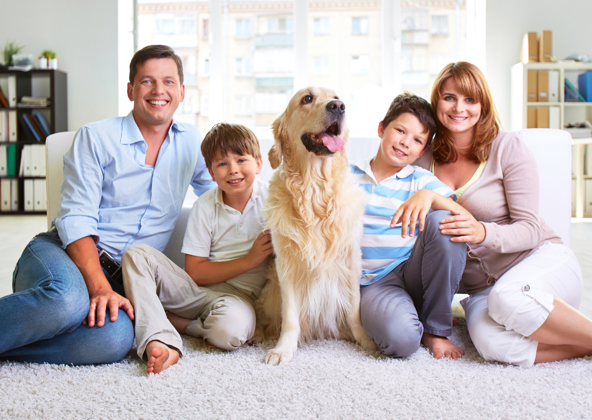 large family comfortable production heating and cooling